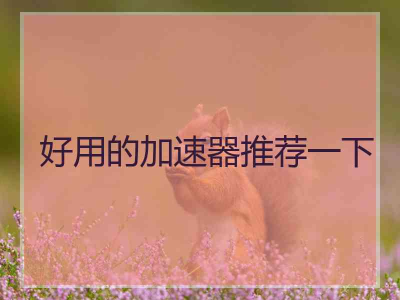 好用的加速器推荐一下