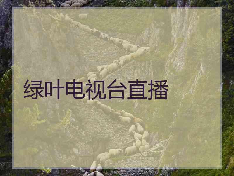 绿叶电视台直播