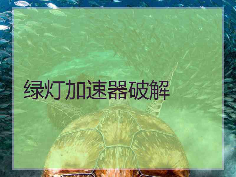 绿灯加速器破解