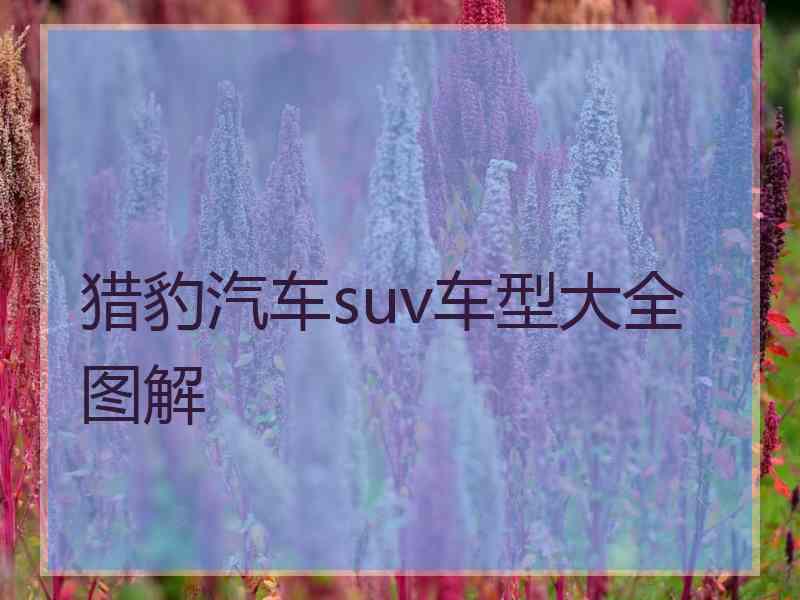 猎豹汽车suv车型大全图解