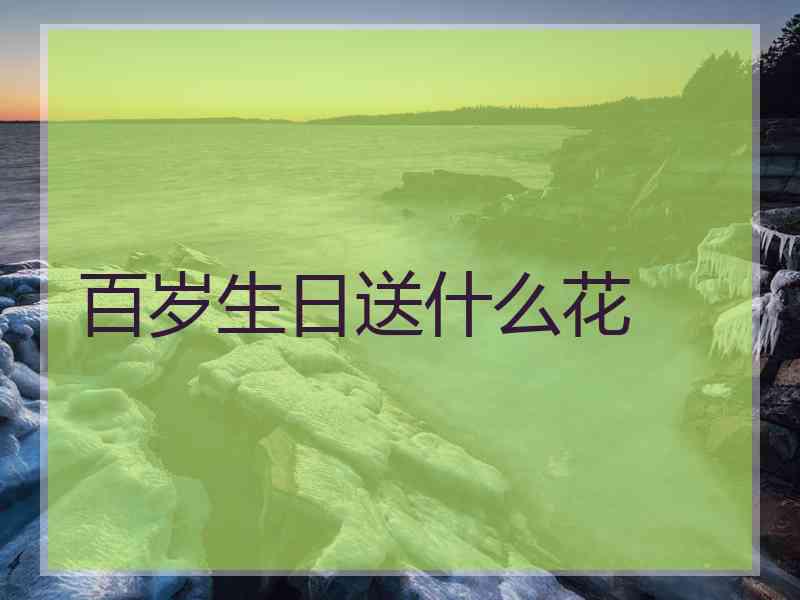 百岁生日送什么花