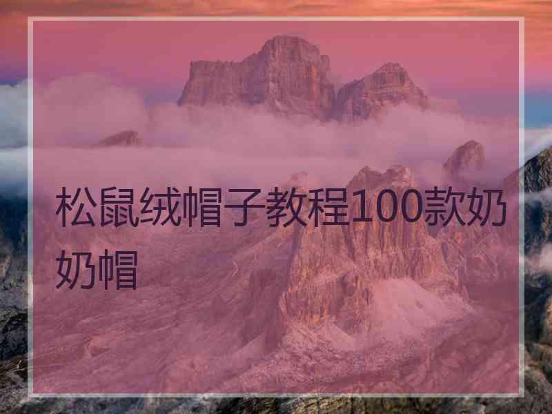 松鼠绒帽子教程100款奶奶帽
