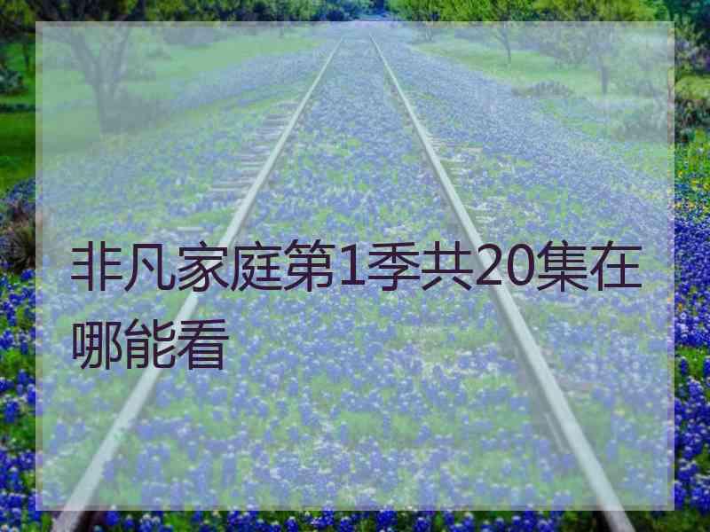 非凡家庭第1季共20集在哪能看