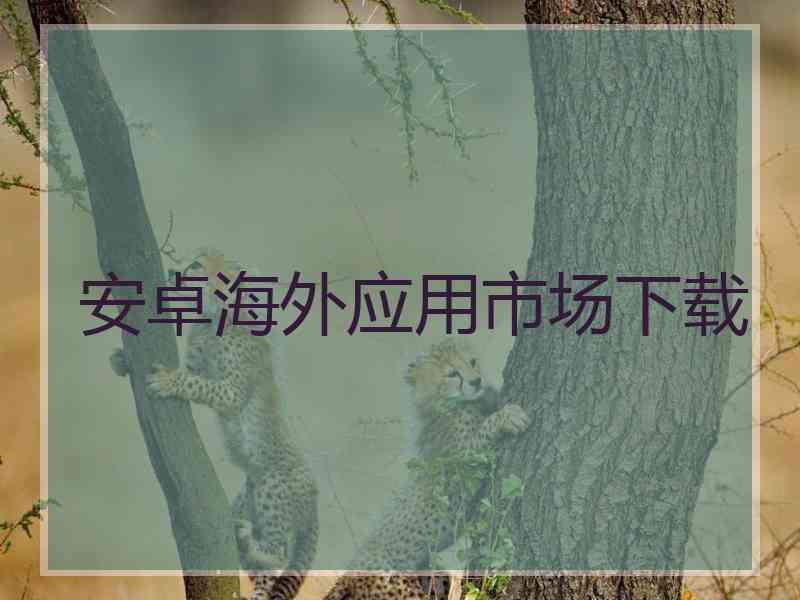 安卓海外应用市场下载