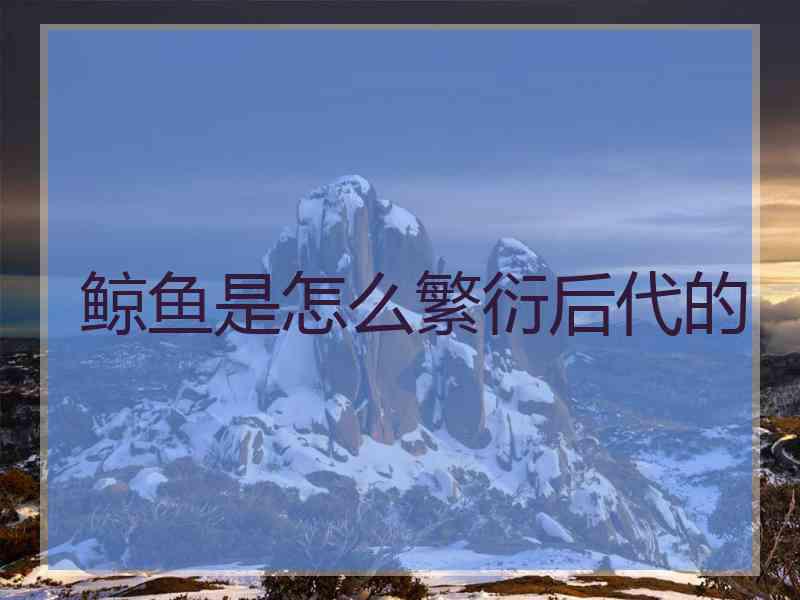 鲸鱼是怎么繁衍后代的