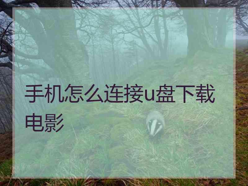 手机怎么连接u盘下载电影