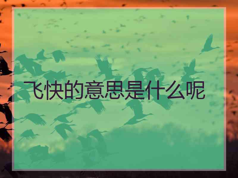 飞快的意思是什么呢