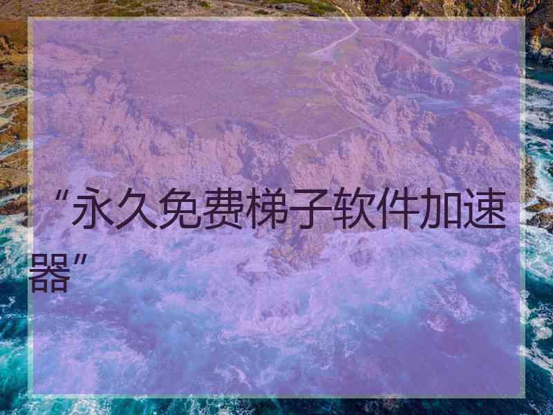 “永久免费梯子软件加速器”