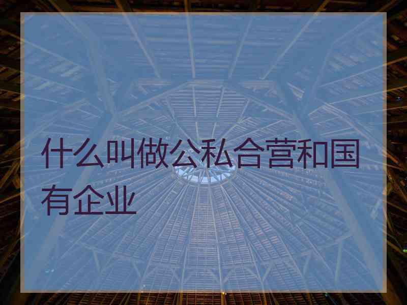什么叫做公私合营和国有企业