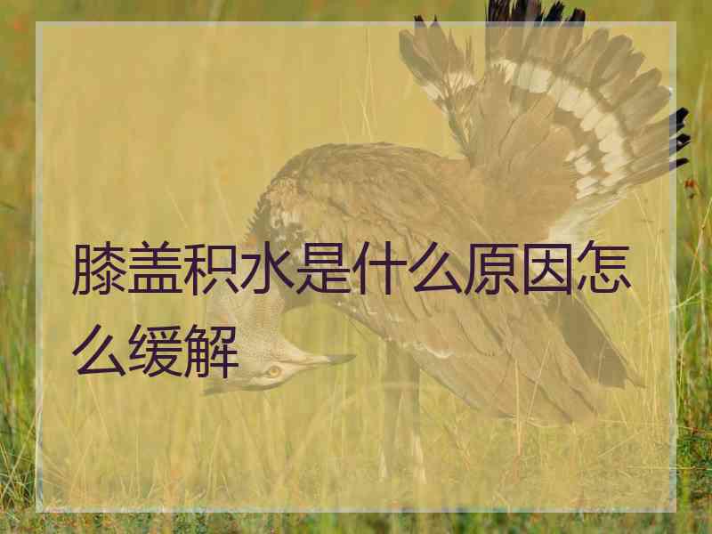 膝盖积水是什么原因怎么缓解