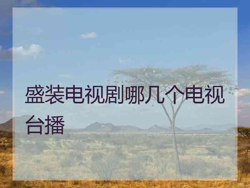 盛装电视剧哪几个电视台播