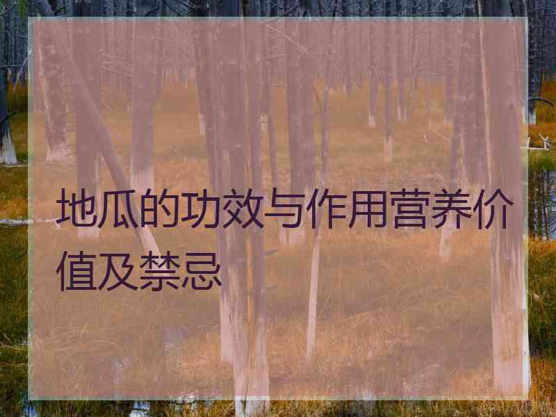 地瓜的功效与作用营养价值及禁忌