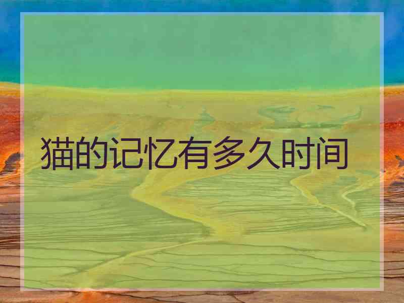 猫的记忆有多久时间