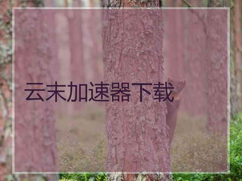 云末加速器下载