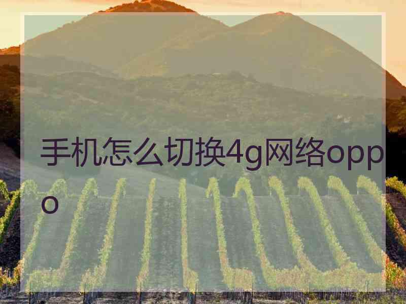 手机怎么切换4g网络oppo