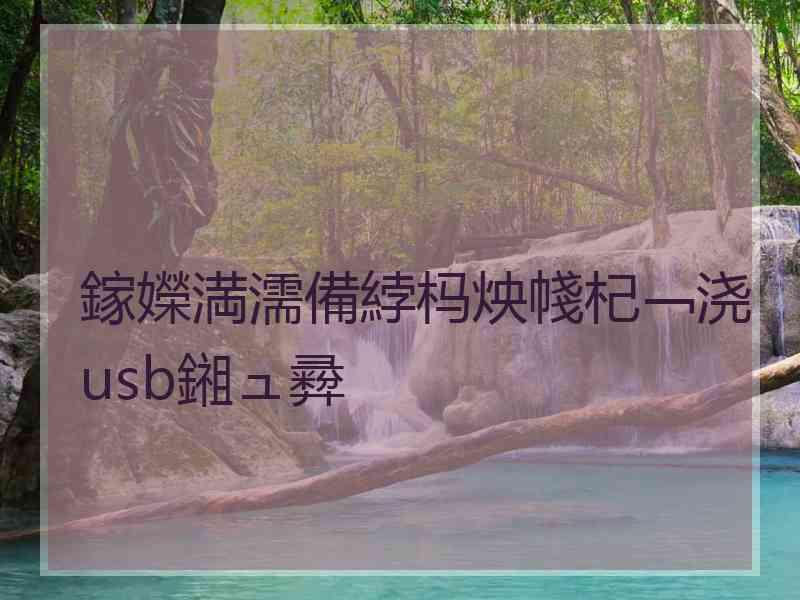 鎵嬫満濡備綍杩炴帴杞﹁浇usb鎺ュ彛