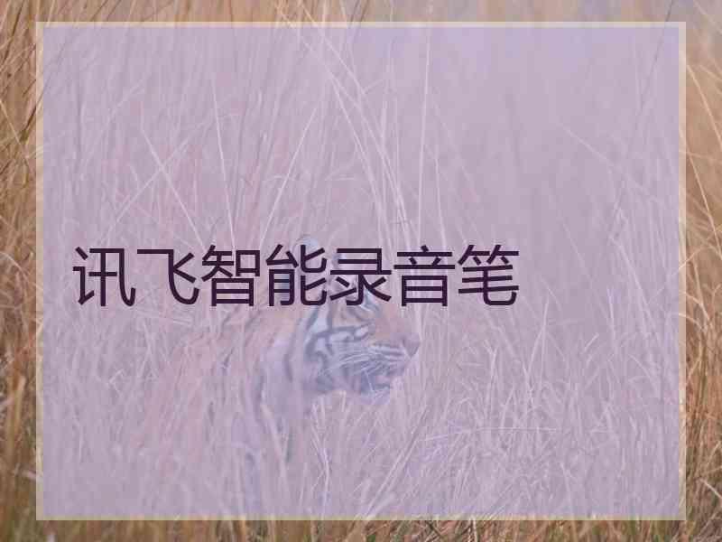 讯飞智能录音笔