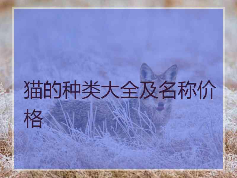 猫的种类大全及名称价格