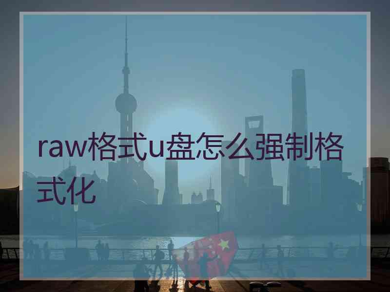 raw格式u盘怎么强制格式化