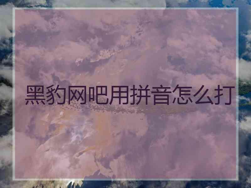 黑豹网吧用拼音怎么打