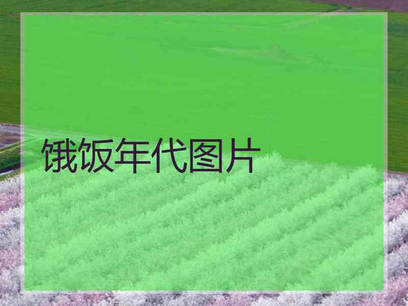 饿饭年代图片