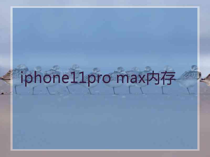 iphone11pro max内存