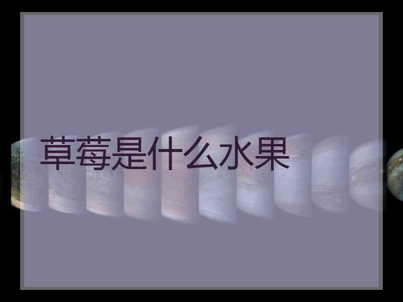 草莓是什么水果