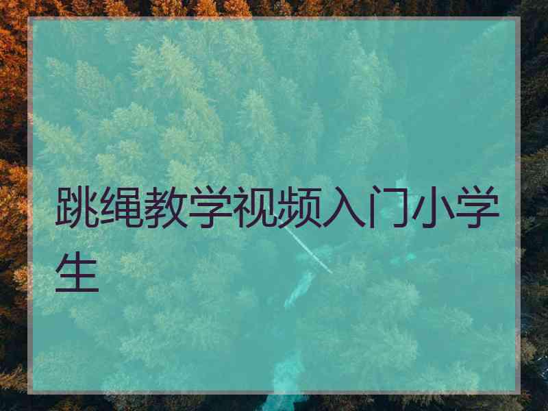 跳绳教学视频入门小学生