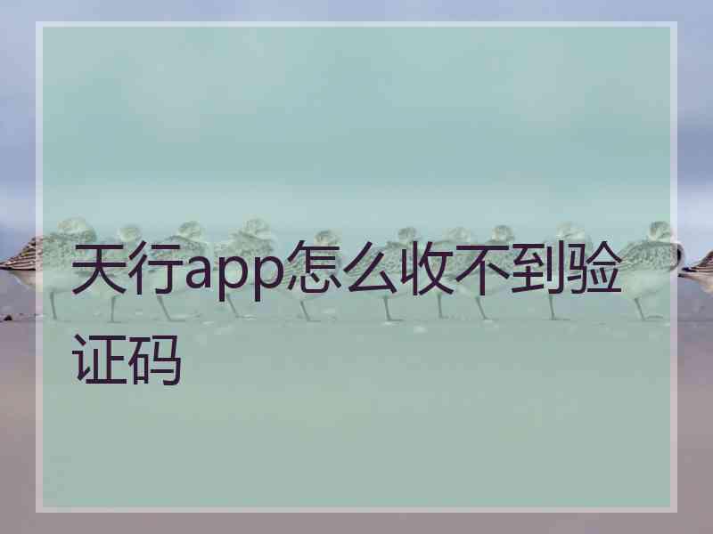 天行app怎么收不到验证码