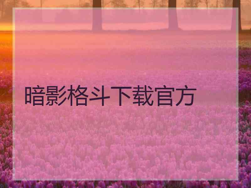 暗影格斗下载官方