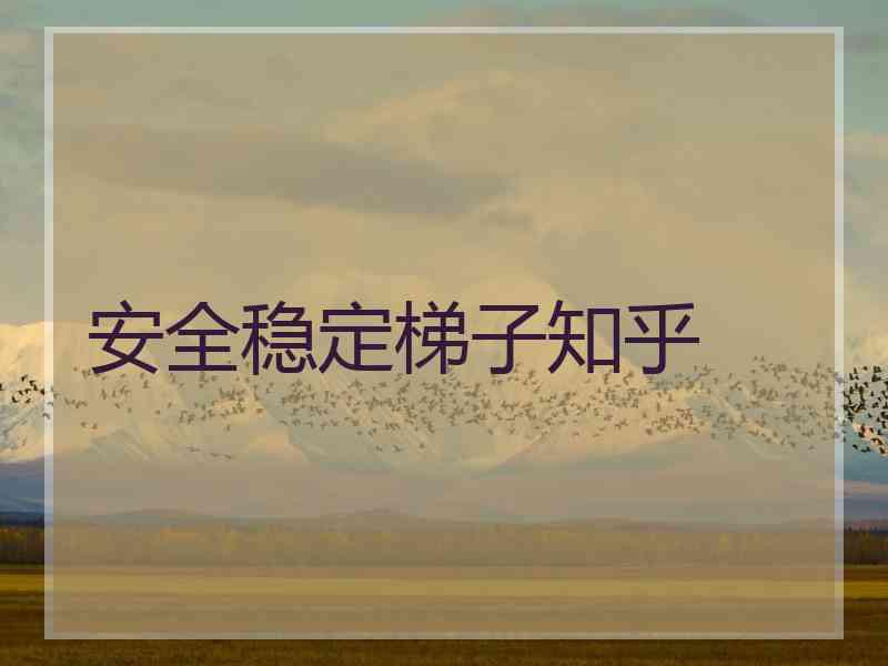 安全稳定梯子知乎