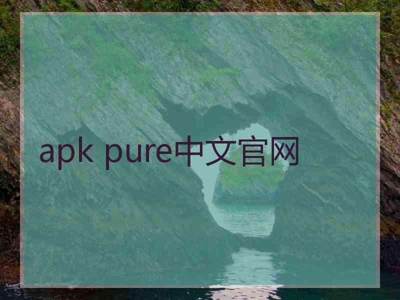 apk pure中文官网