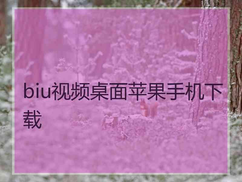 biu视频桌面苹果手机下载