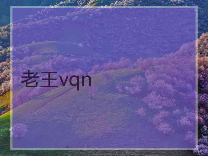 老王vqn