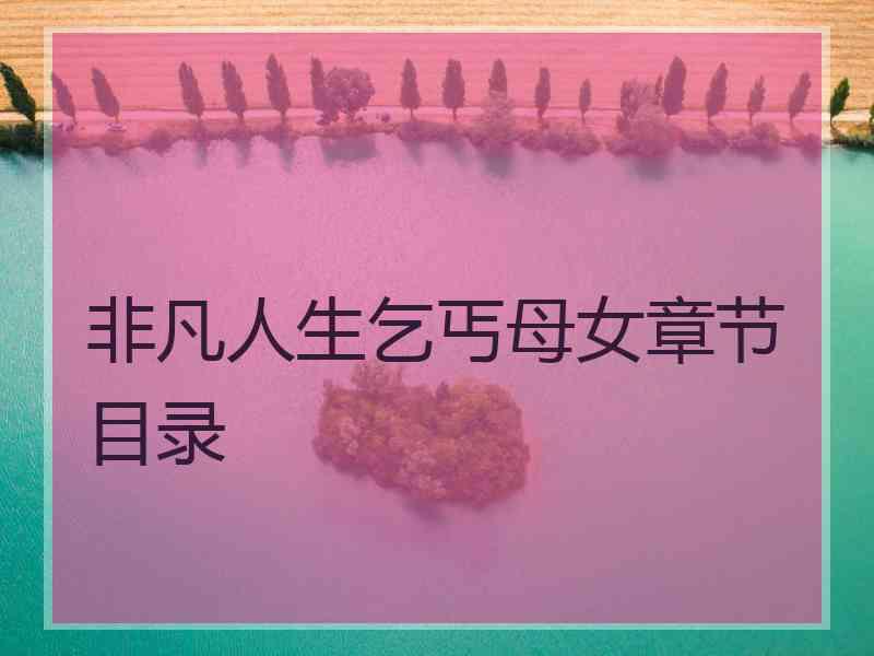 非凡人生乞丐母女章节目录