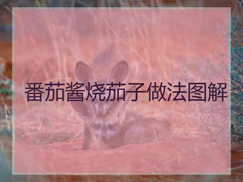 番茄酱烧茄子做法图解