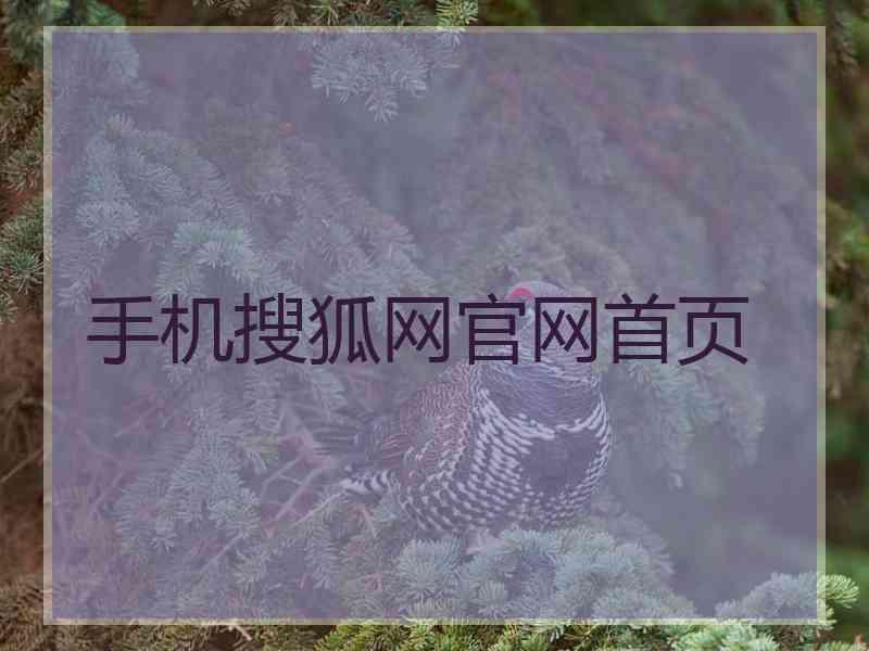 手机搜狐网官网首页