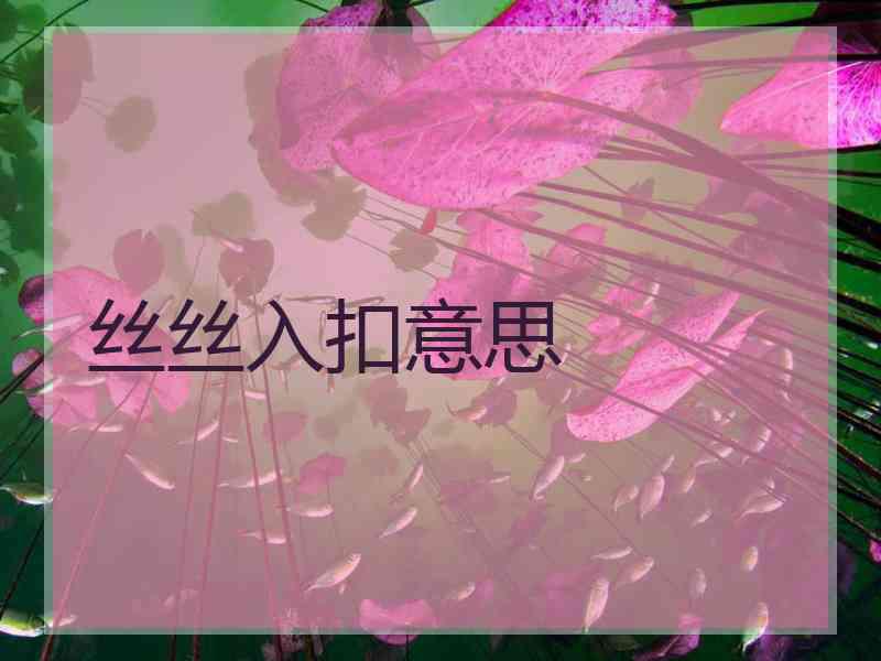 丝丝入扣意思