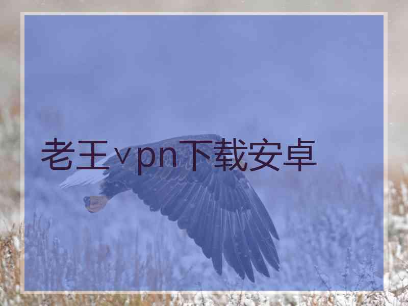 老王∨pn下载安卓