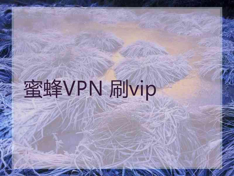 蜜蜂VPN 刷vip