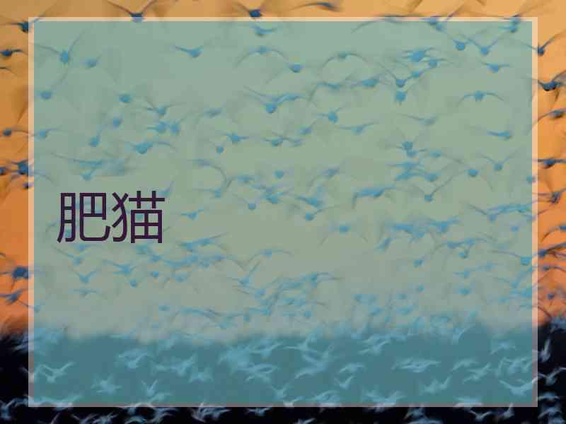 肥猫