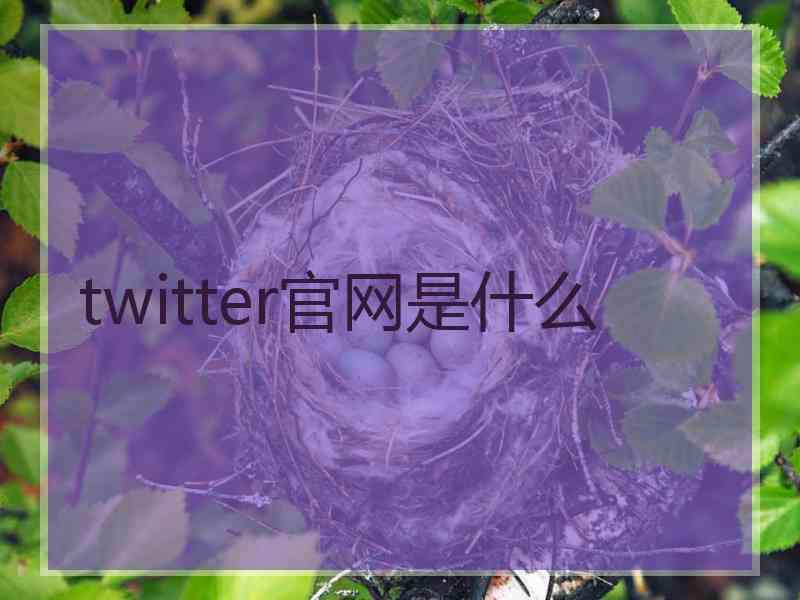 twitter官网是什么