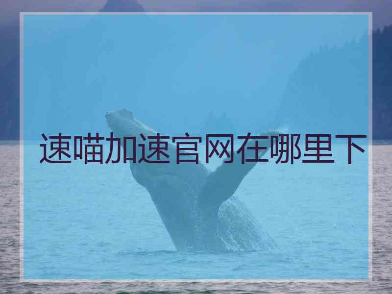 速喵加速官网在哪里下