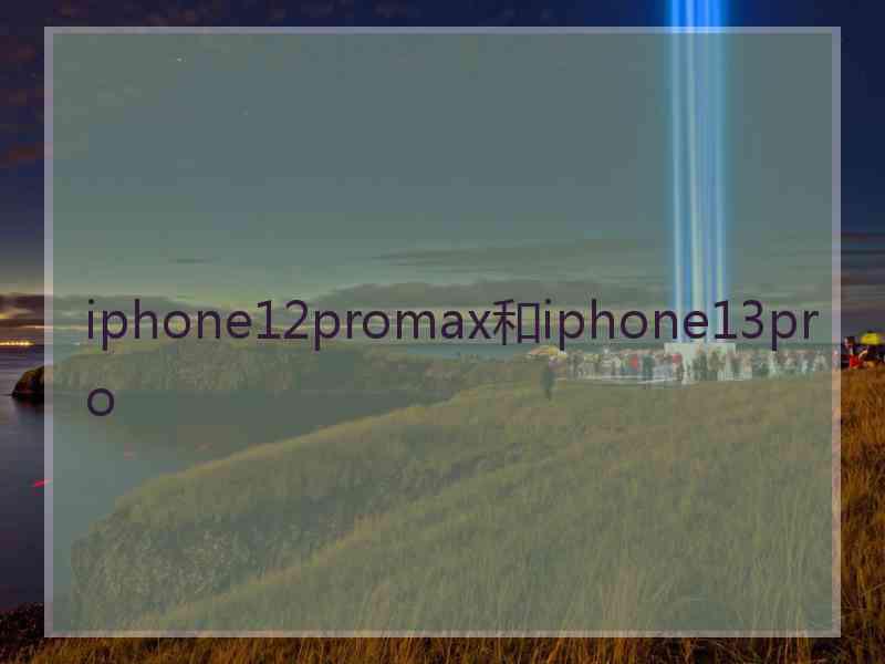 iphone12promax和iphone13pro