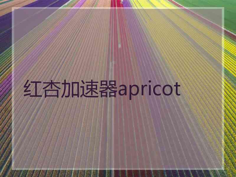 红杏加速器apricot
