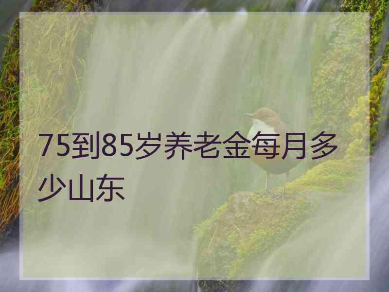 75到85岁养老金每月多少山东