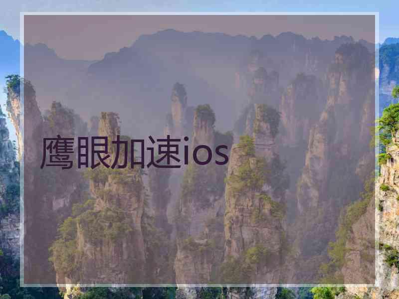 鹰眼加速ios