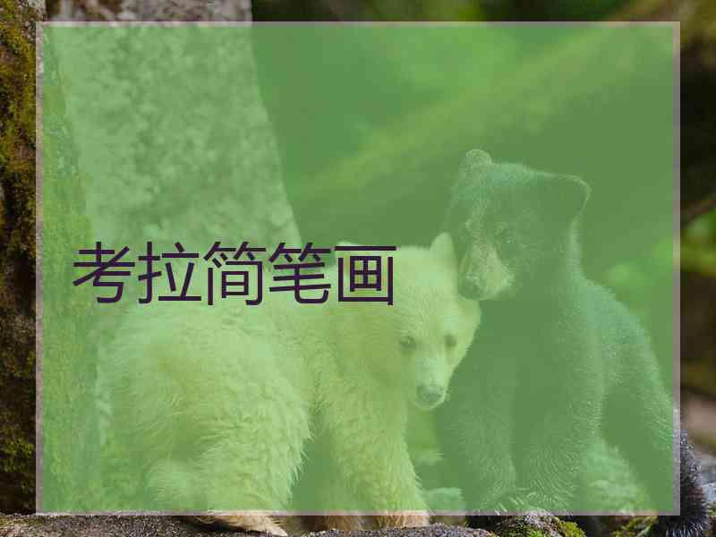 考拉简笔画