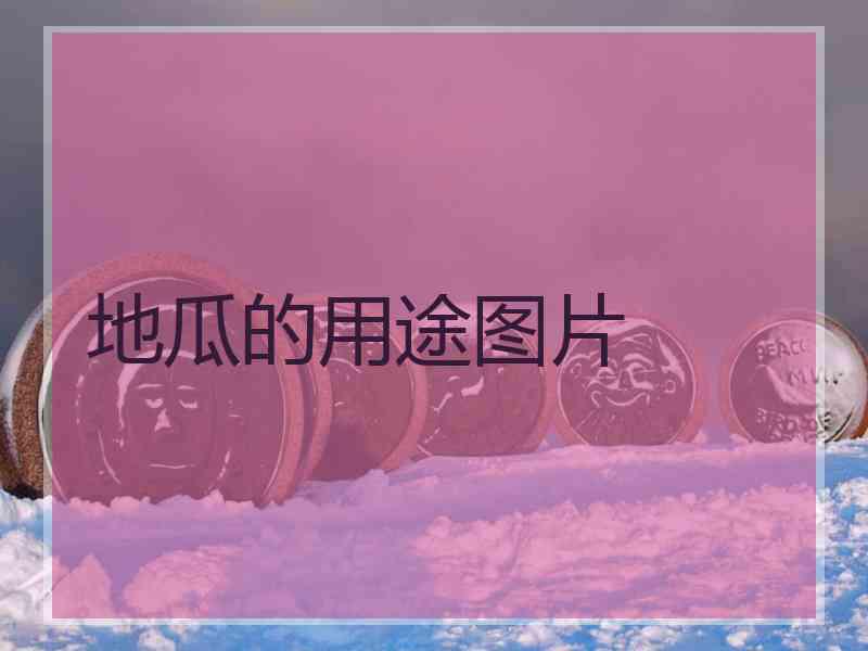 地瓜的用途图片