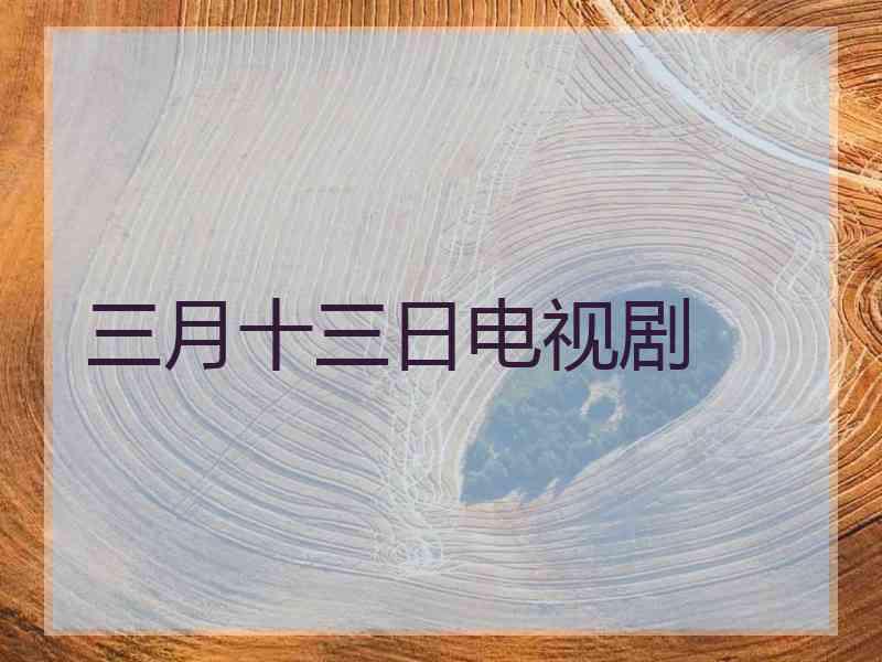三月十三日电视剧